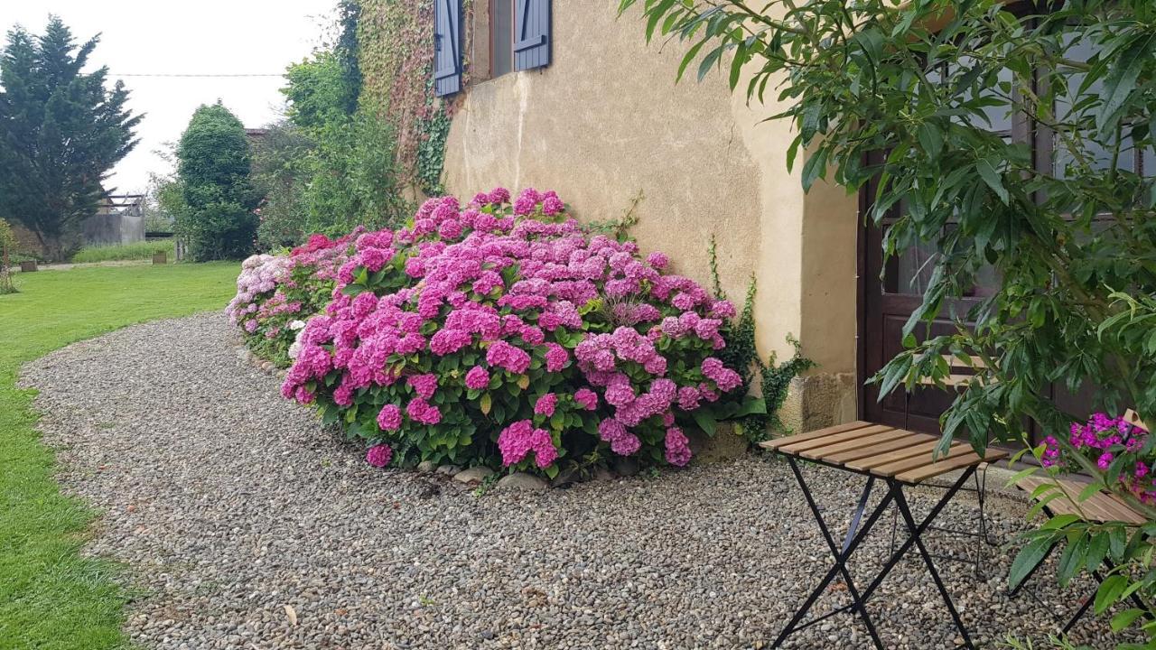 Apartamento Le Peyroutet Cazaux-Villecomtal Exterior foto